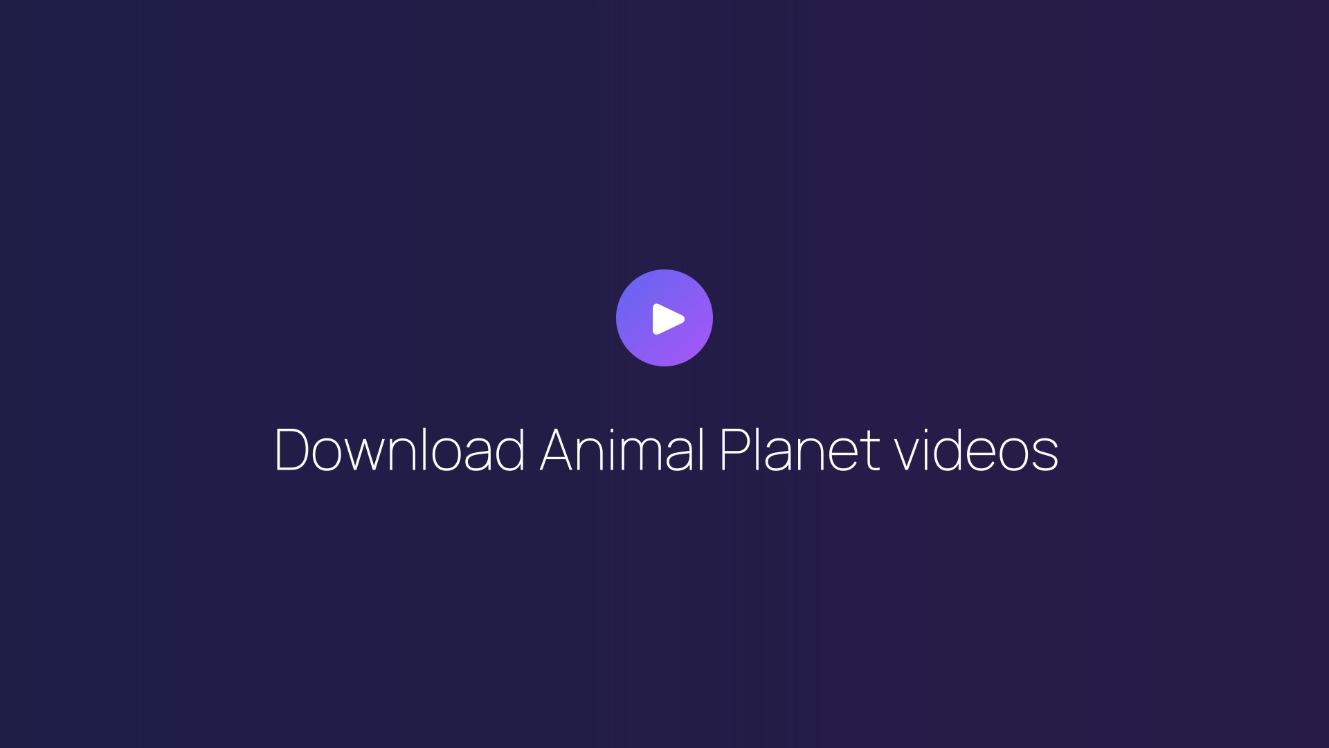 Download Animal Planet videos featured image